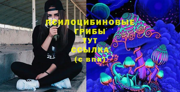 меф Алексин
