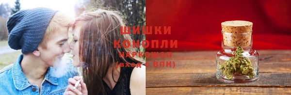 ПСИЛОЦИБИНОВЫЕ ГРИБЫ Алексеевка