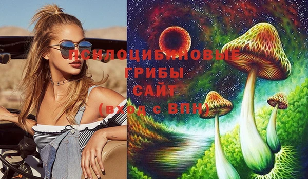 ПСИЛОЦИБИНОВЫЕ ГРИБЫ Алексеевка