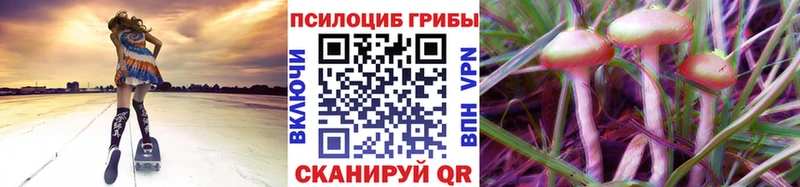 Галлюциногенные грибы Psilocybine cubensis  Курлово 